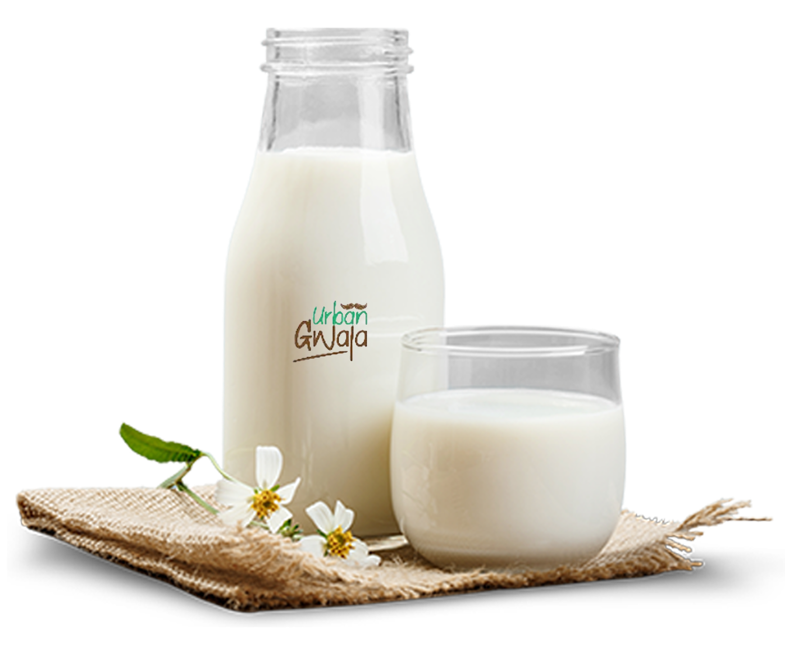 Milk Bottle